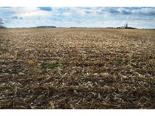Property photo 8 - LAND AUCTION - 276.5+/- ACRES OFFERED IN 5 TRACTS IN EAST ALLEN COUNTY